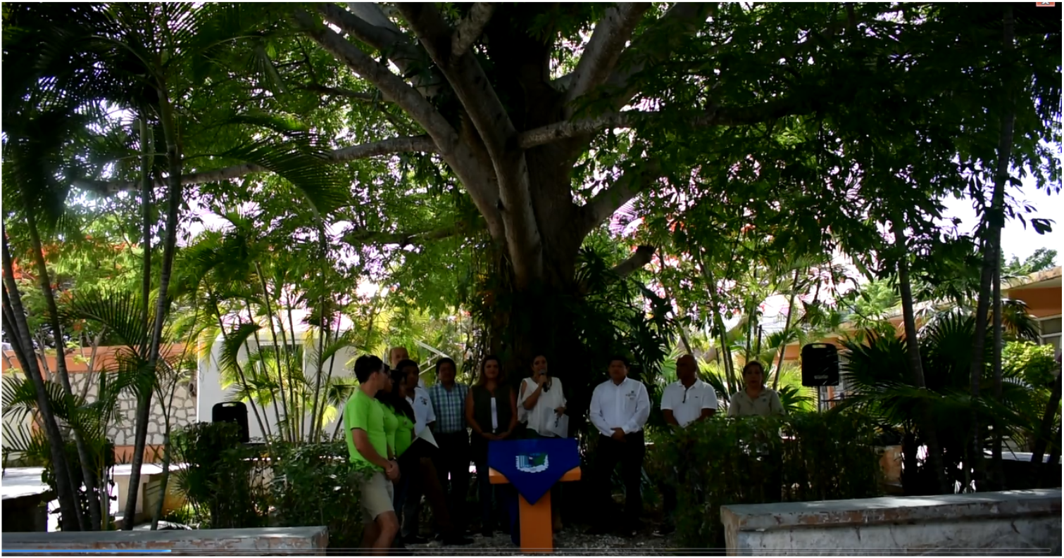 El ITCancún declara el 30 de mayo “Día de La Ceiba”