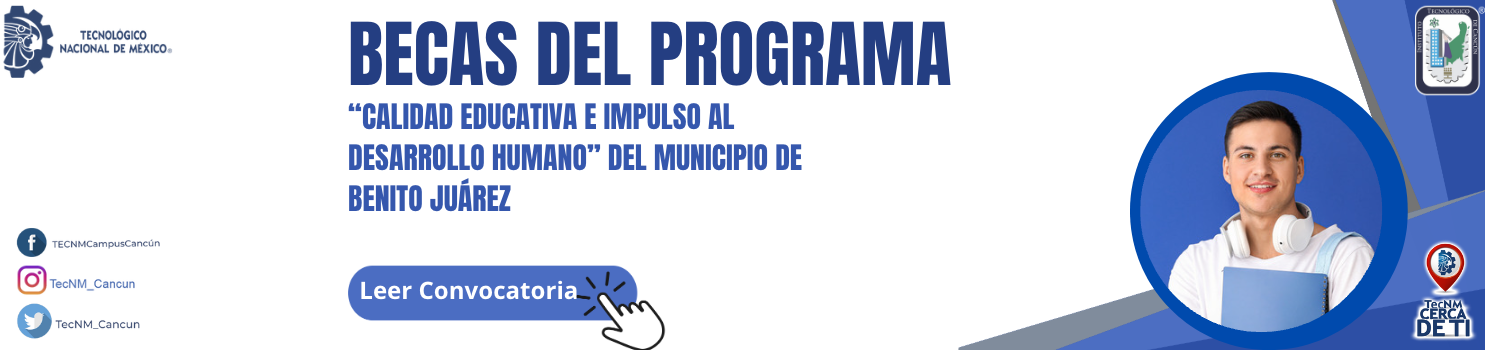 slide-webBecas del programa